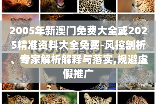 2005年新澳門免費大全或2025精準資料大全免費-風控剖析、專家解析解釋與落實,規(guī)避虛假推廣