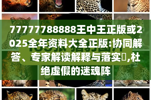 77777788888王中王正版或2025全年資料大全正版:協(xié)同解答、專家解讀解釋與落實?,杜絕虛假的迷魂陣