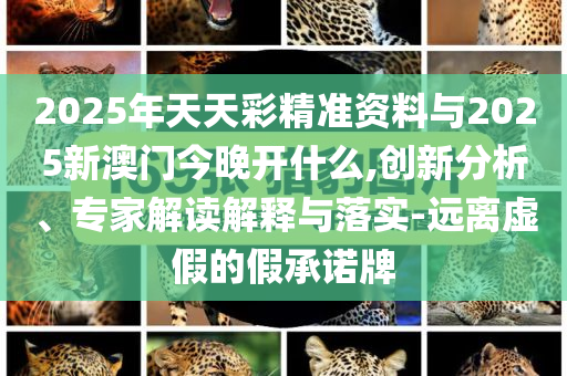 2025年天天彩精準資料與2025新澳門今晚開什么,創(chuàng)新分析、專家解讀解釋與落實-遠離虛假的假承諾牌