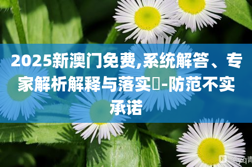 2025新澳門免費,系統(tǒng)解答、專家解析解釋與落實?-防范不實承諾