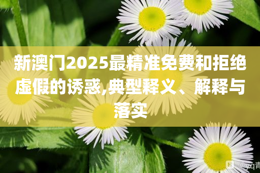 新澳門2025最精準(zhǔn)免費和拒絕虛假的誘惑,典型釋義、解釋與落實