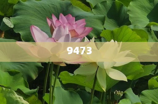 發(fā)掘:國家網(wǎng)絡(luò)身份認(rèn)證APP來了-詳細(xì)解答、專家解讀解釋與落實(shí),拒絕虛假蠱惑陷阱