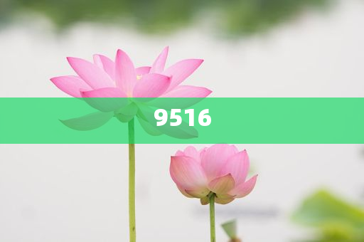 防范:非洲國家看好中國出境游潛力,杜絕誤導(dǎo)性誘導(dǎo)-規(guī)范釋義、專家解析解釋與落實(shí)?