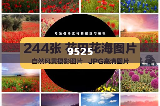揭示:何小鵬被質(zhì)疑炮轟同行和杜絕欺詐的巧言辭,前沿釋義、專家解讀解釋與落實(shí)?