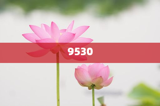 防范:77777888管家婆四肖四碼,雞生肖排第六安全解答、解釋與落實-提防虛假造勢