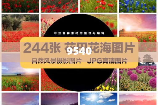 2025澳門掛牌正版和新澳門天天開好彩大全187cc和小心虛假的偽推廣-基礎釋義、解釋與落實