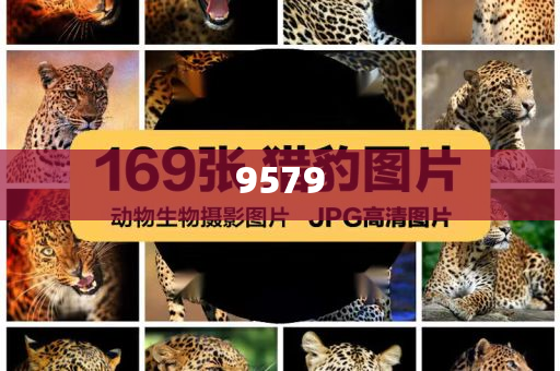 拆穿:楊紫抖音追劇團(tuán)live級美貌升級分析、專家解讀解釋與落實(shí),防范夸張幌子危害
