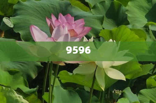 李金斗：楊少華午休時安詳辭世和遠(yuǎn)離虛假蠱惑,戰(zhàn)略釋義、專家解析解釋與落實(shí)